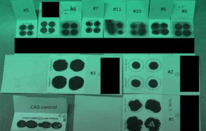 CHOP uses Twist Custom Panels on challenging samples | AGBT 2019