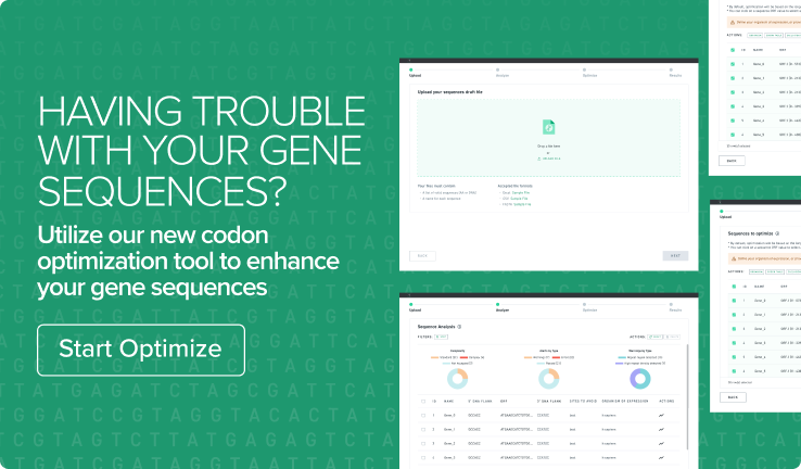 Optimize Your DNA with Our Codon Optimization Tool