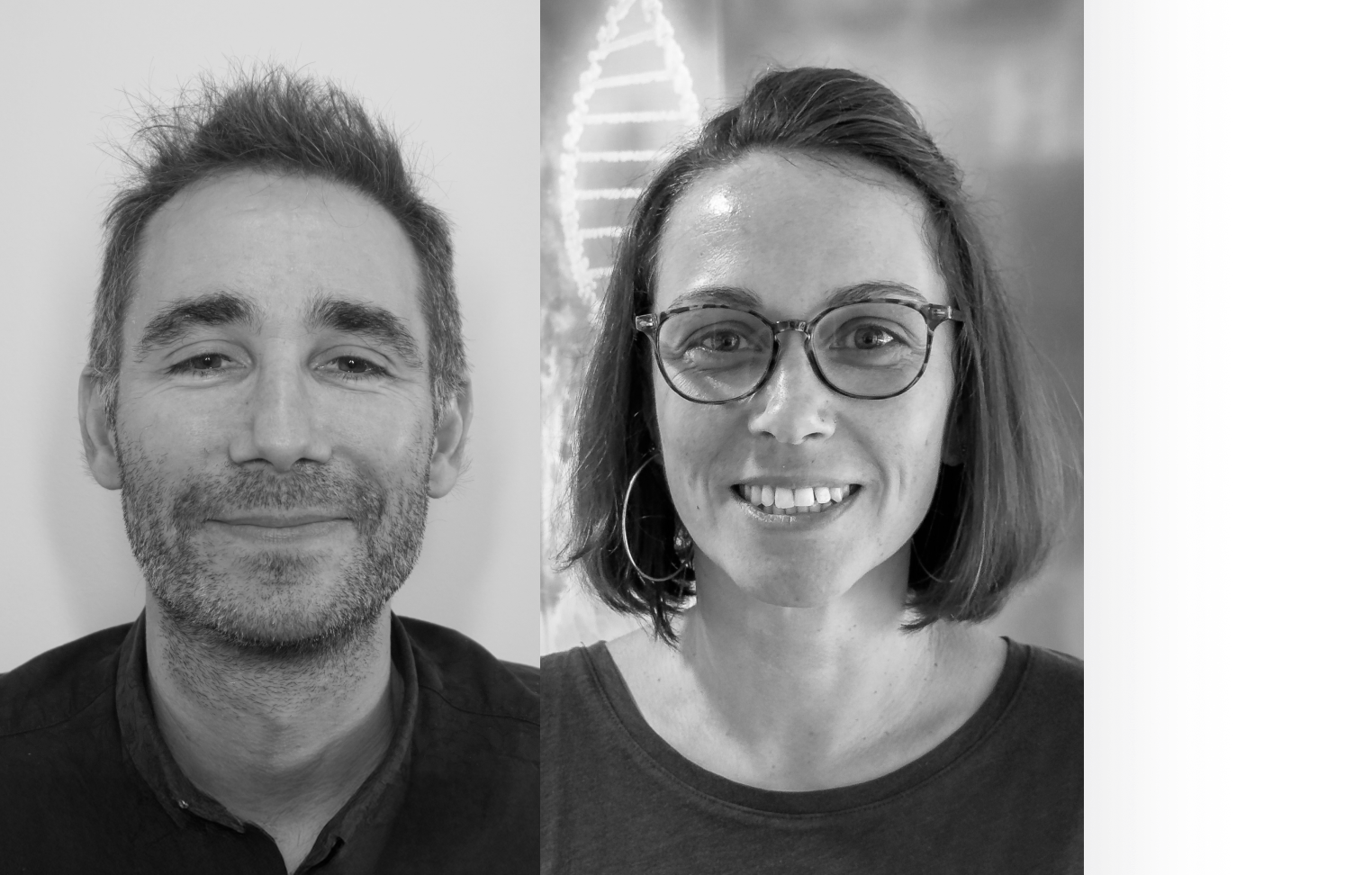 Advanced Targeted Sequencing: Unraveling the Complexity of Plant Genetic Diversity