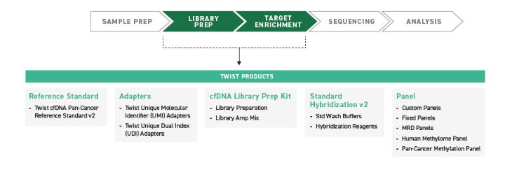 ctDNA Analysis Products High level workflow for ctDNA analyses annotated with various Twist products, such as library preparation and target enrichment kits.