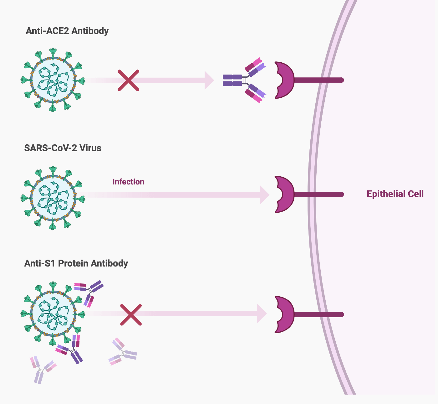 Twist SARS-COV-2 Antibody
