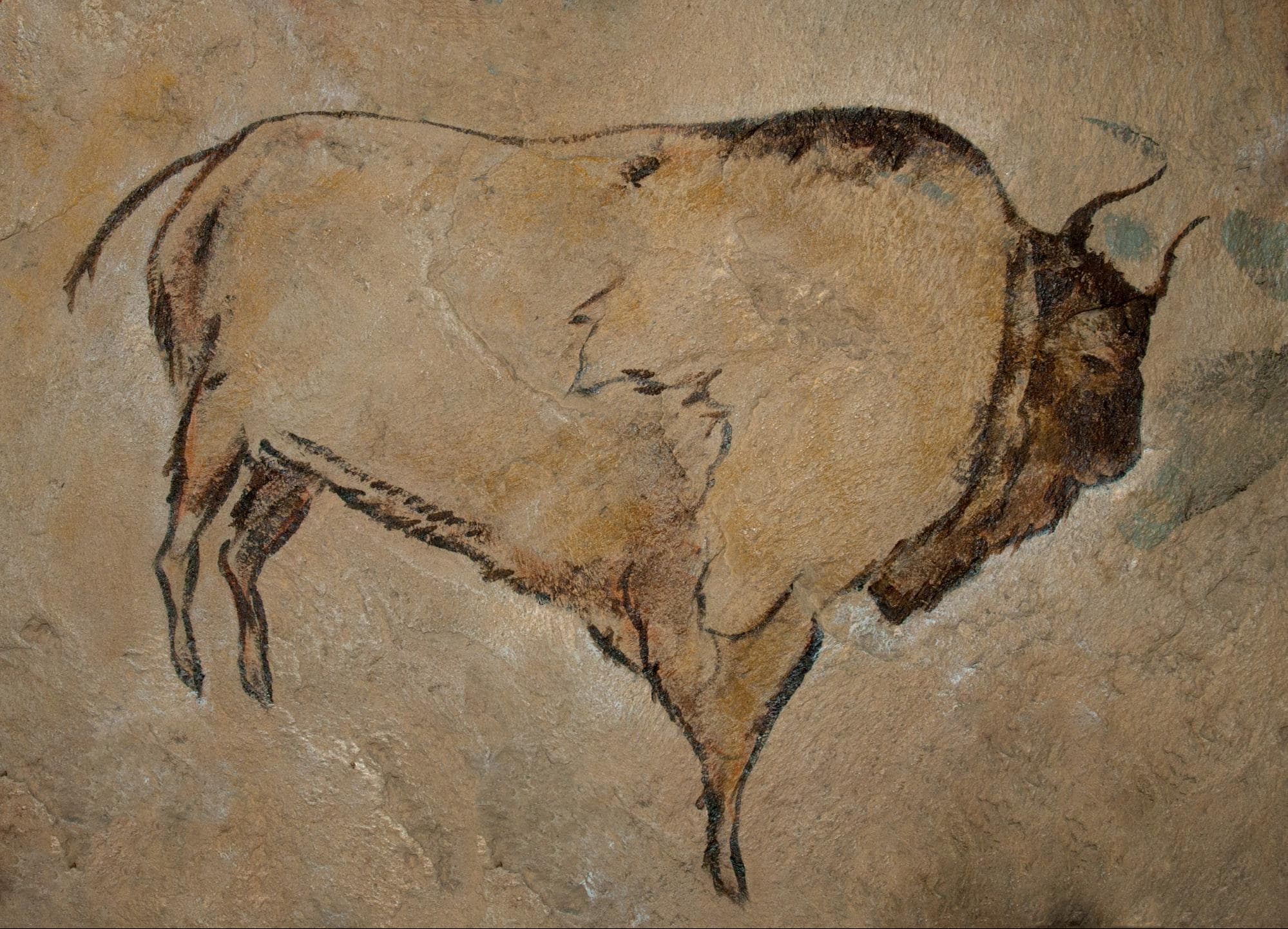 Cave Bison