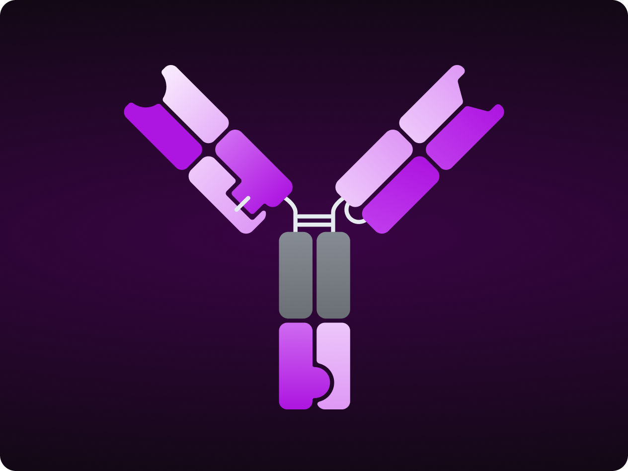 Bispecific Antibodies