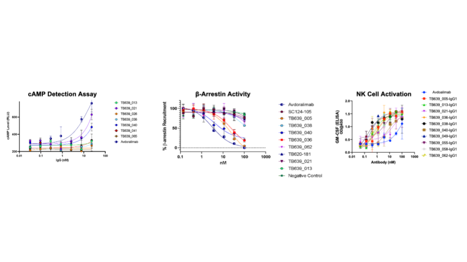 Data visualization for Binding Kinetics: Iso Affinity (SPR)