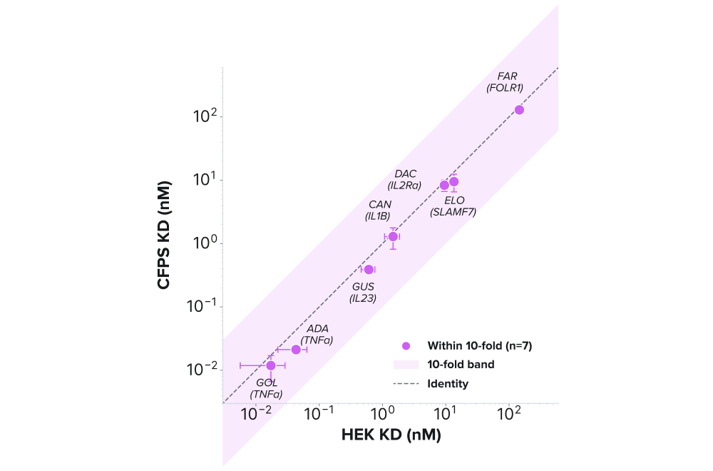 Cell-free expression: SPR affinity validation - Binding kinetics of cell-free IgG measured by SPR alongside mammalian-expressed reference material, spanning four orders of magnitude in KD.<br /><br />Cell-free-expressed IgG was assayed by SPR against HEK-expressed reference antibodies across a 7-antibody, 5-antigen subset, with each measurement run in triplicate (N=3). The two expression systems produced closely correlated KD values (Pearson r = 0.999, p < 10⁻⁷), with all 7 antibody/antigen pairs falling within a 10-fold concordance band and KD values ranging from 12.6 pM up to the low hundreds of nM.