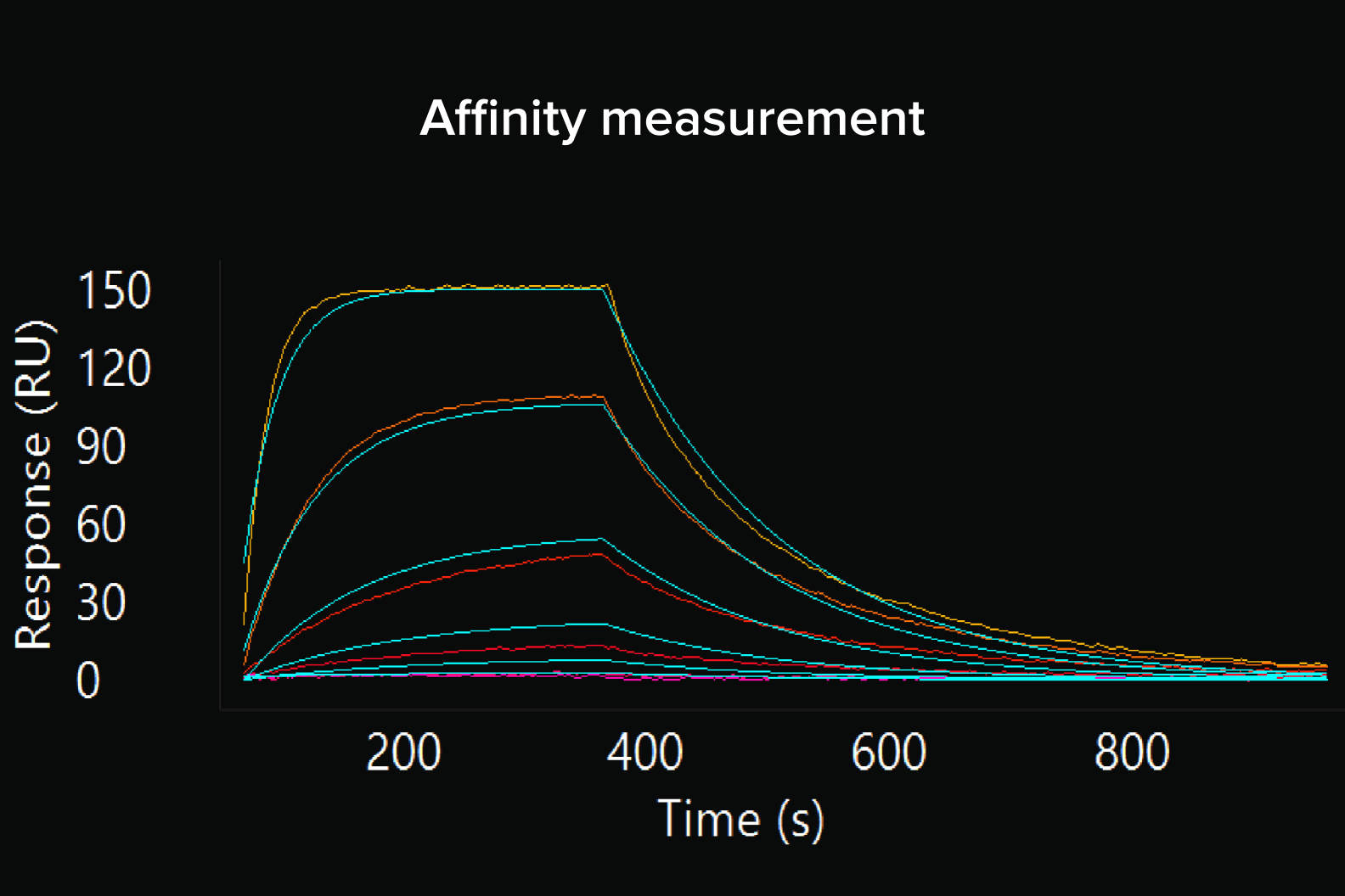 SPR sensorgrams across a concentration series, overlaid with fitted kinetic curves