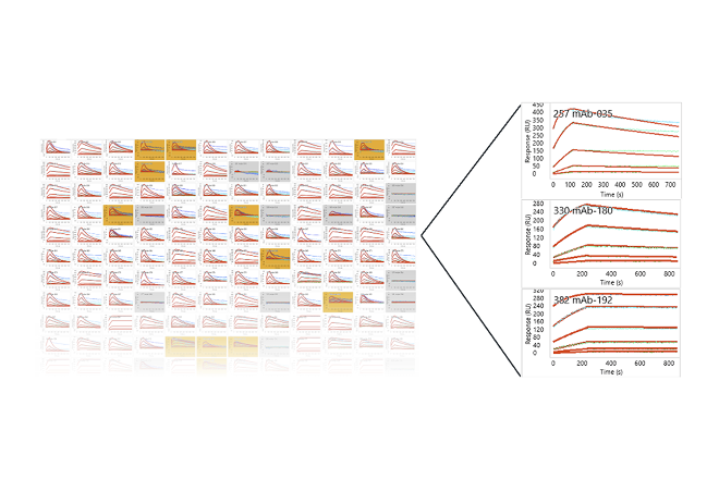 Data visualization for Binding Kinetics: Affinity Ranking (SPR)