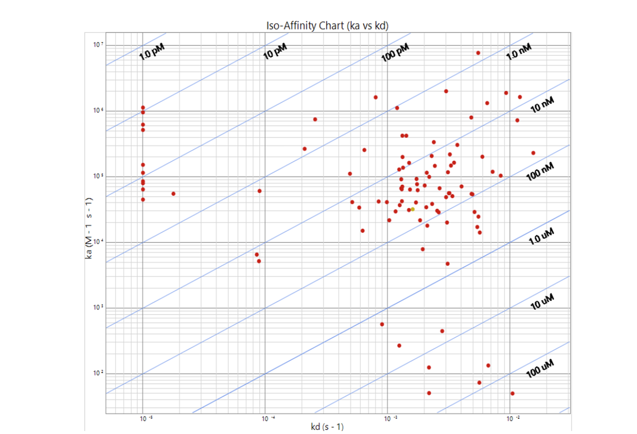 Binding Kinetics: Affinity Ranking (SPR) - Quantitative kinetic profiling across dilution series to confidently rank binders by true affinity (KD).