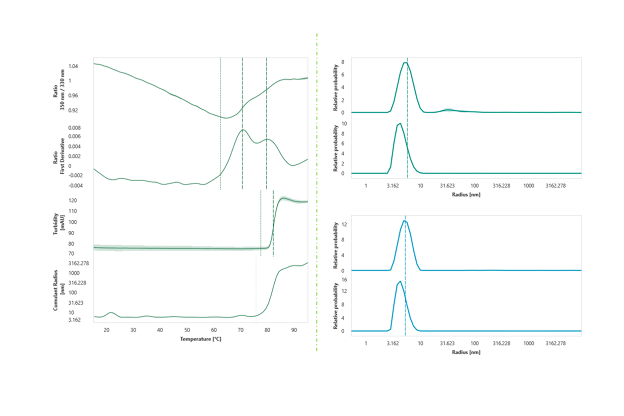 Solubility, Aggregation, Stability - DLS/NanoDSF - Rapidly assess developability by quantifying thermal stability (Tm), onset of aggregation (Tagg), and particle distribution to help rank order leads.