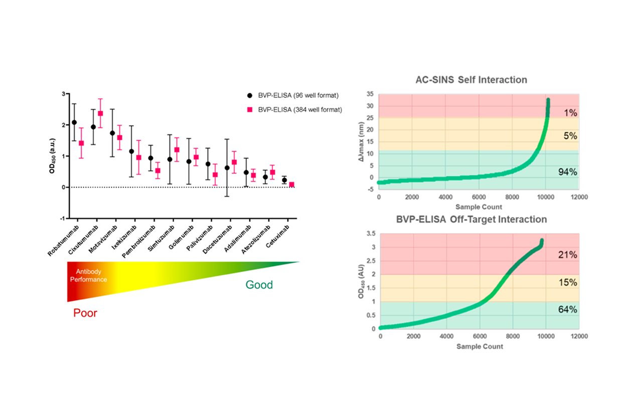 Off-Target Binding – BVP-ELISA & AC-SINS - Detect off-target and polyspecific interactions early to de-risk downstream development.
