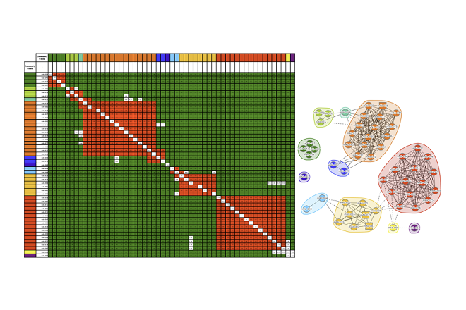 Data visualization for Biophysical Characterization: Epitope Binning (SPR)