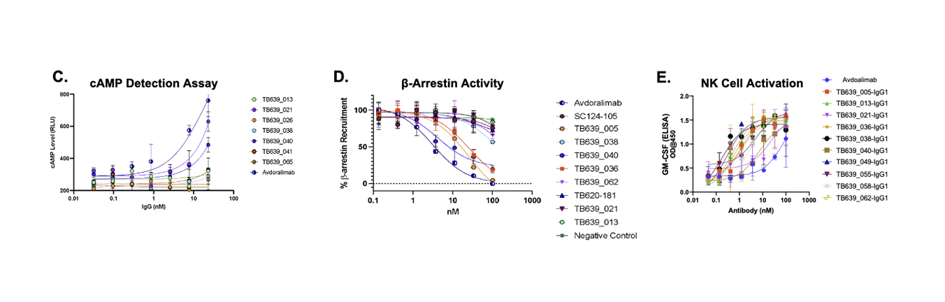 Data visualization for Binding Kinetics: Iso Affinity (SPR)
