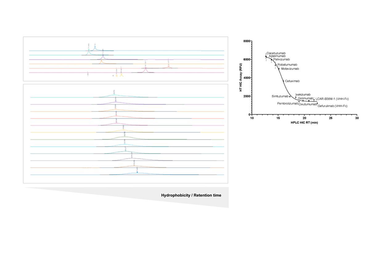 High-Throughput Hydrophobicity and Non-Specific Binding - Plate-based screening correlated to gold-standard HIC and CIC to enable high-throughput, decision-ready insights.