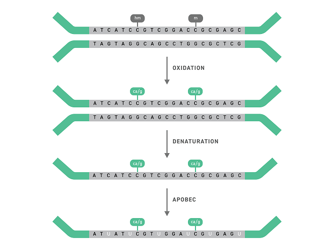 EM Sequence Diagram