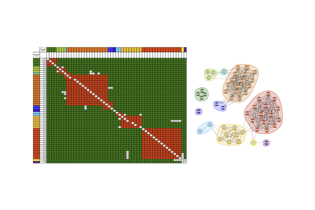 Epitope Binning by BLI - Map competitive binding relationships to identify epitope diversity and guide lead selection. Suitable for panels where SPR throughput is not required.