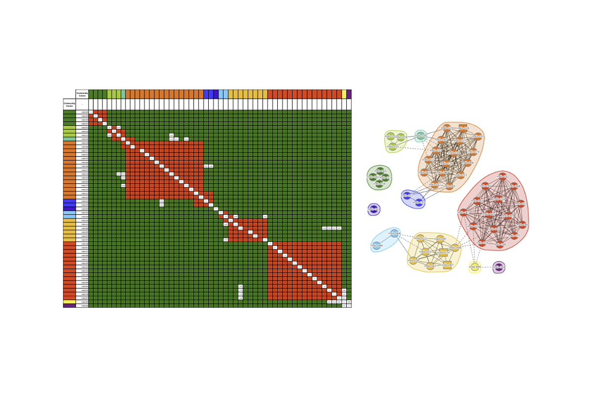 Epitope Binning by SPR - Map competitive binding relationships across large antibody panels to identify epitope families and guide lead selection.