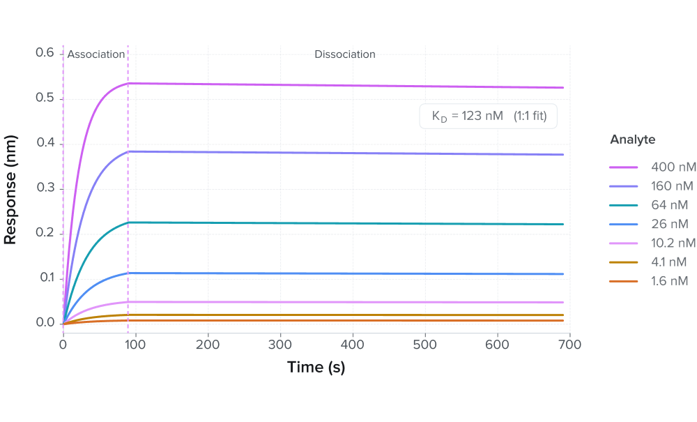 Affinity Determination by BLI - Determine full binding kinetics and affinity constants across a concentration series. Orthogonal to SPR for candidate confirmation or programs where SPR is not suitable.