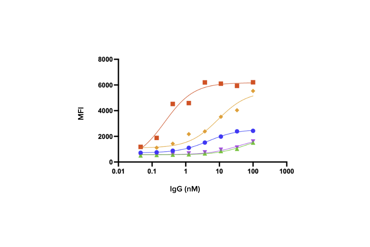 On-Cell Binding Confirmation by Flow Cytometry - Confirm target engagement on cells expressing native antigen. Generates dose-response binding curves for ranking.