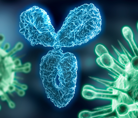 Read our new Ebook on antibody discovery and development