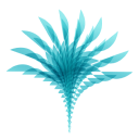 Oligos