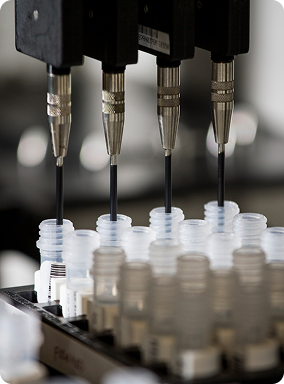 Antibody Production and Characterization Services