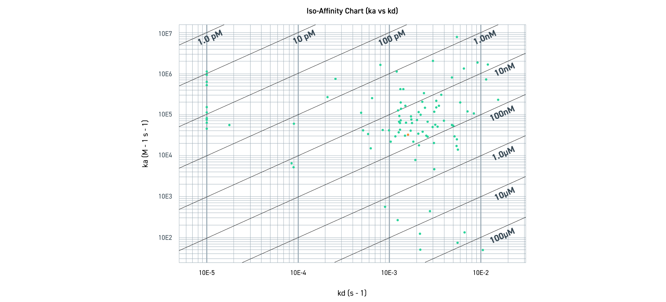 Affinity Ranking Used to Select Robust, Functional Antibodies