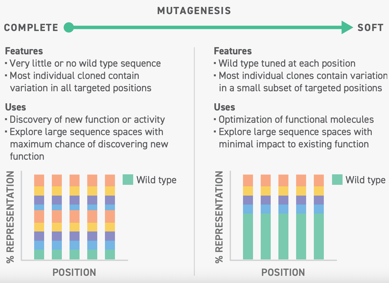What is soft mutagenesis? Soft mutagenesis is a technique that allows researchers to enhance desirable functions in a protein. Unlike complete mutagenesis wherein libraries are designed to maximize the number of mutations in each sequence, a soft mutagenic library is typically designed to ensure that each sequence is nearly identical to the parent sequence, save for a few mutations.