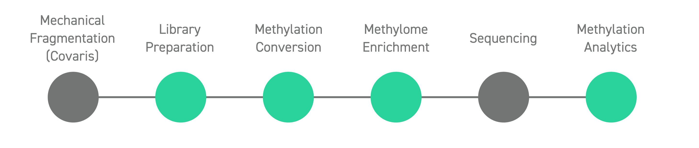 Design and Workflow Efficiency