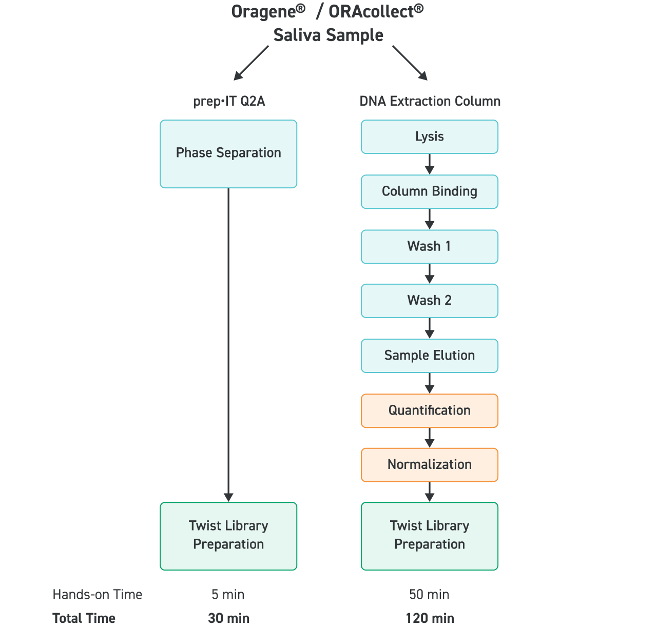 Workflow comparison between PrepIT Q2A and a typical DNA extraction column. PrepIT Q2A takes 30 mins, traditional methods take 120 mins
