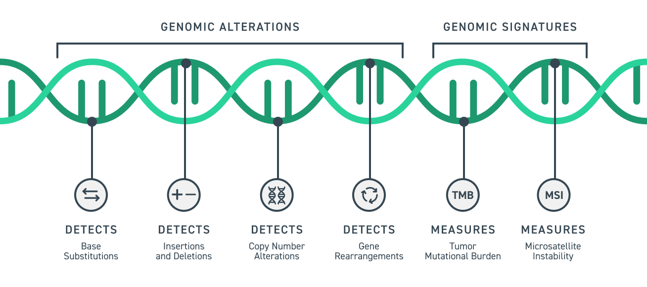figure-CGP-custom-panels