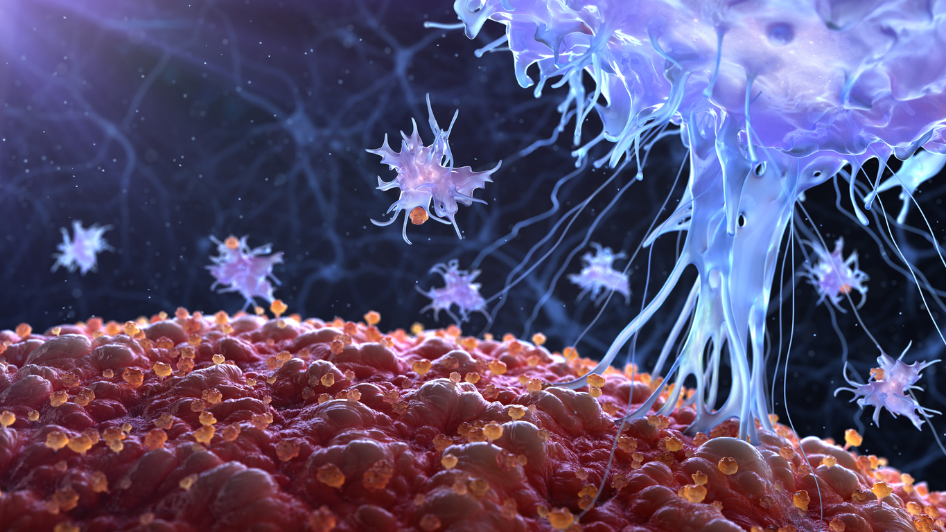 rendering of immune cell attacking a cancer cell