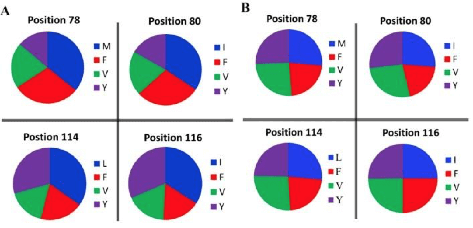 oversampled variants