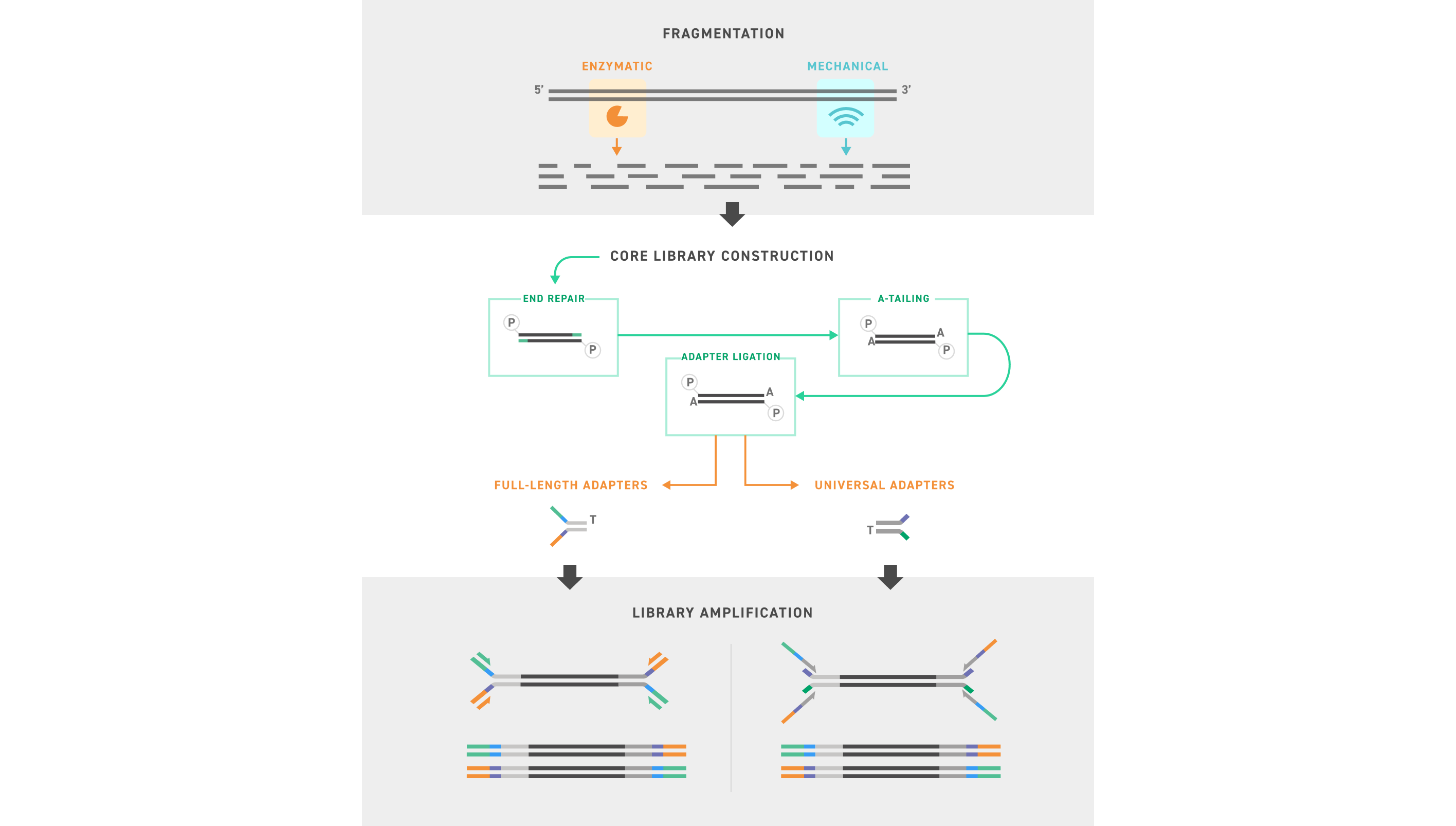 1-figure-workflow.png