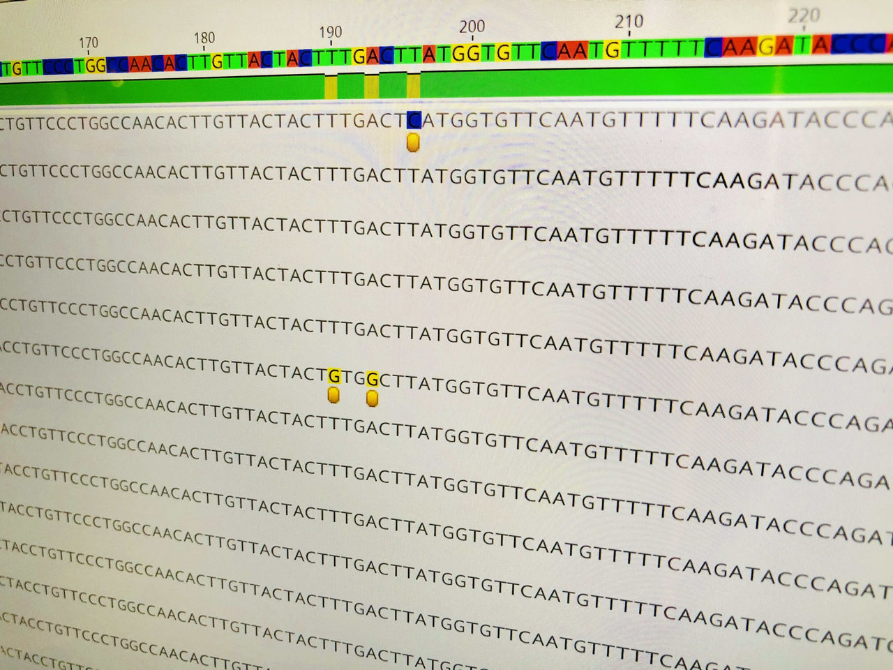 crispr-base-editors-promise-treat-diseases-novel-dna-rna-fixes
