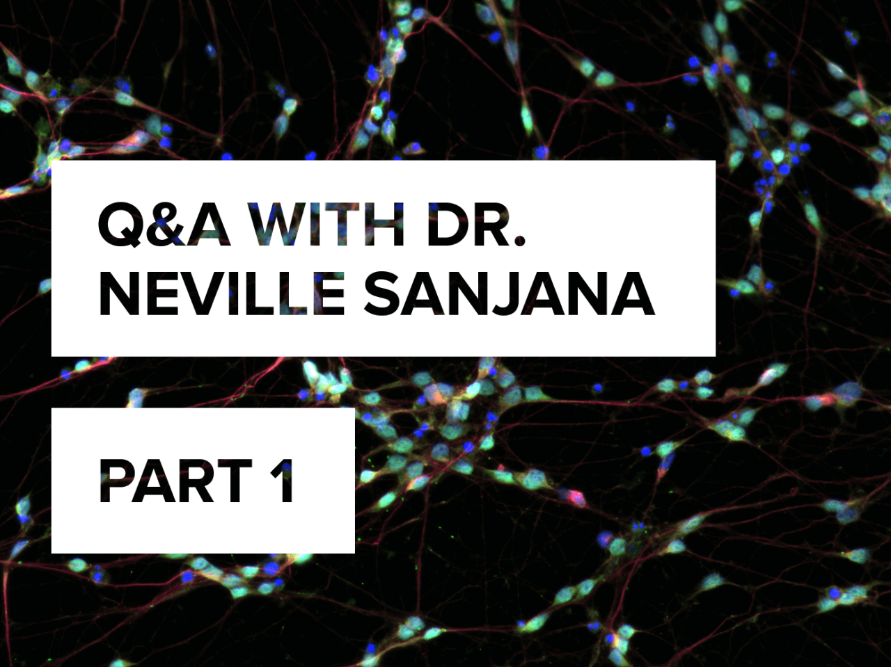 Q-A-with-Dr-Neville-Sanjana-on-his-career-so-far-in-CRISPR