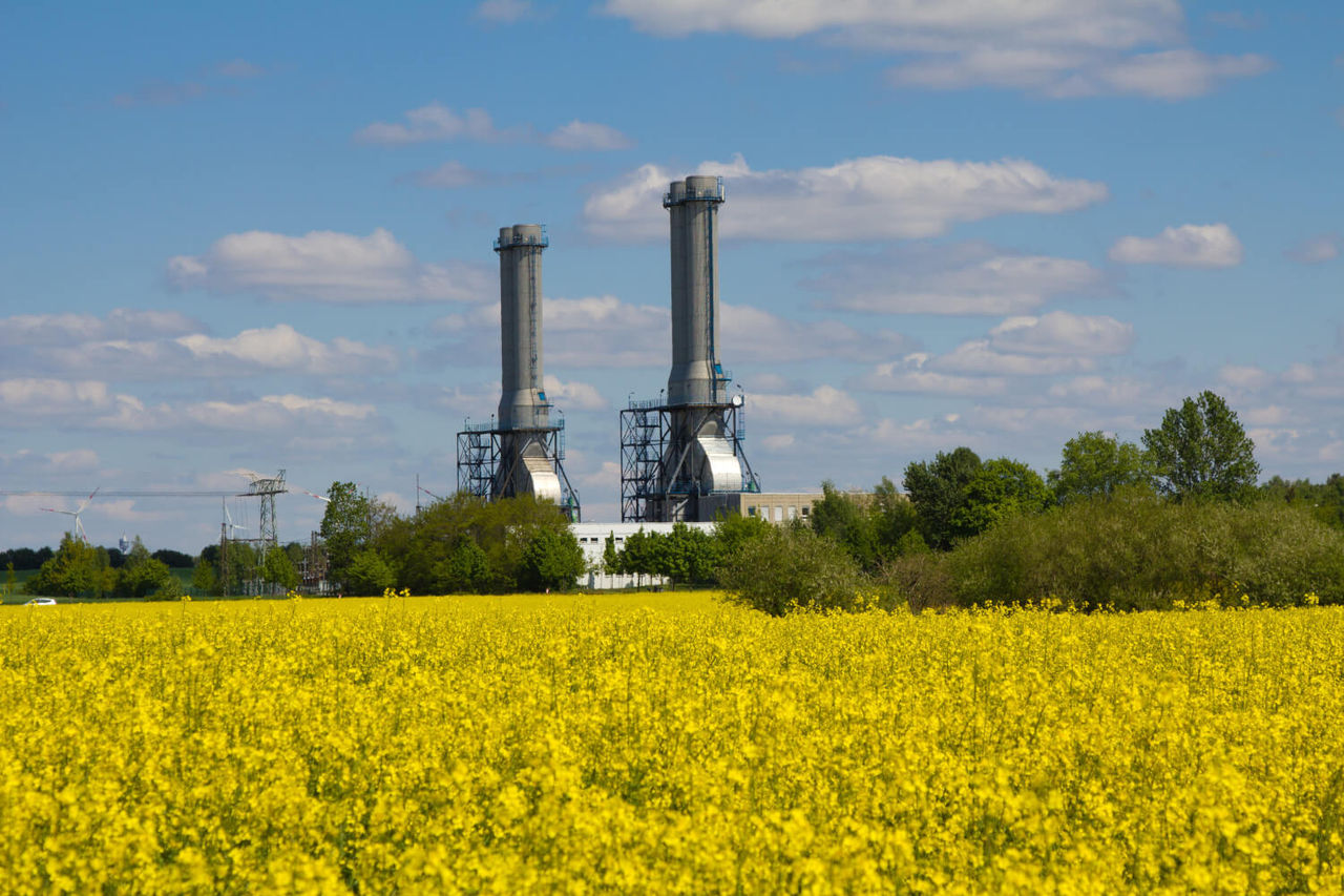 Those-Pesky-Petrochemicals