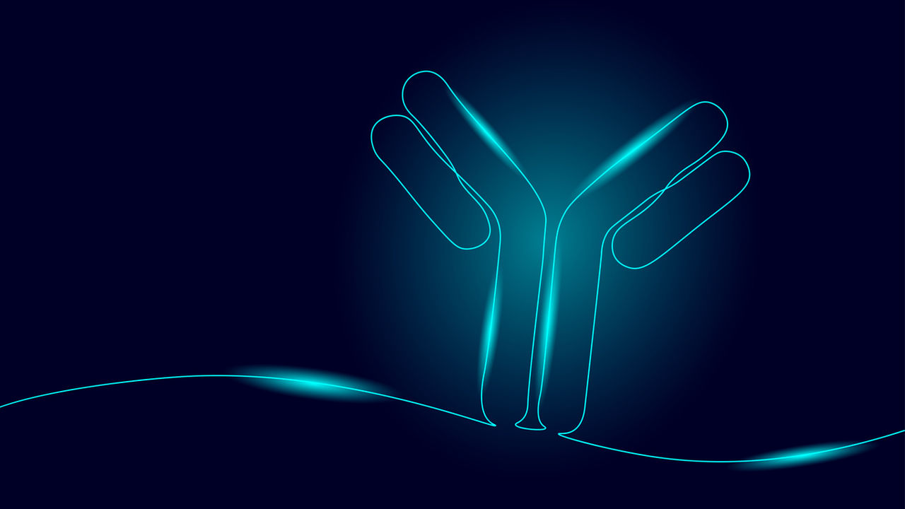 Continuous line coronavirus antibody. COVID-19 Green Pass one line. Fast rapid lab blood medicine test sketch drawing vector illustration.