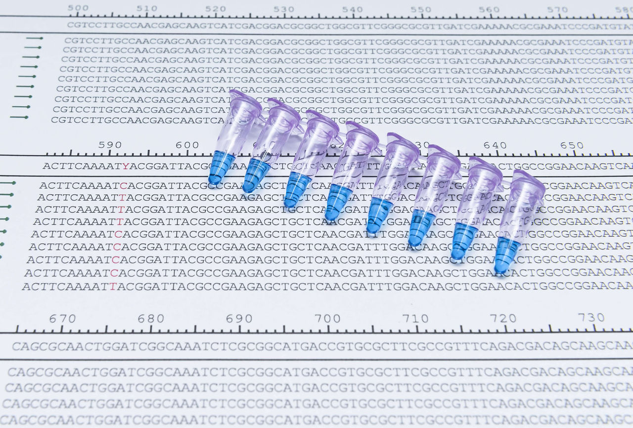 Interview with Professor Manfred Reetz: Beating Bias in Protein Engineering