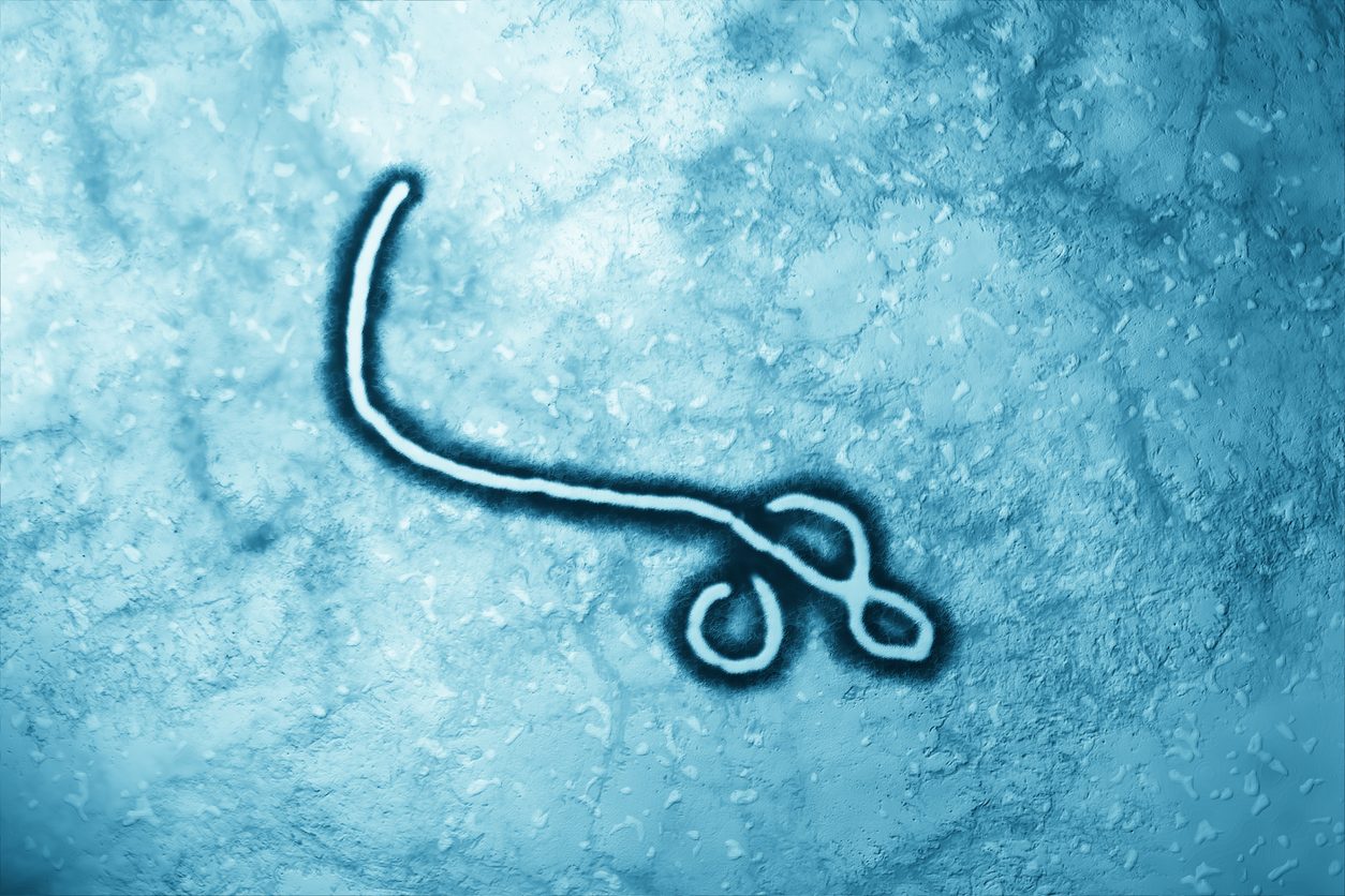 Microscopic image of ebola virus, digitally colored blue.