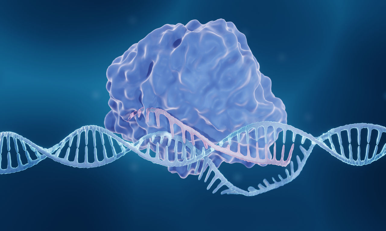 Digital rendering of the CRISRP-CAS9 complex binding to a DNA strand.