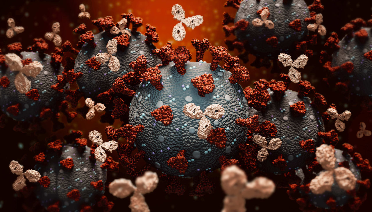 An artist's image of B cells generating antibodies
