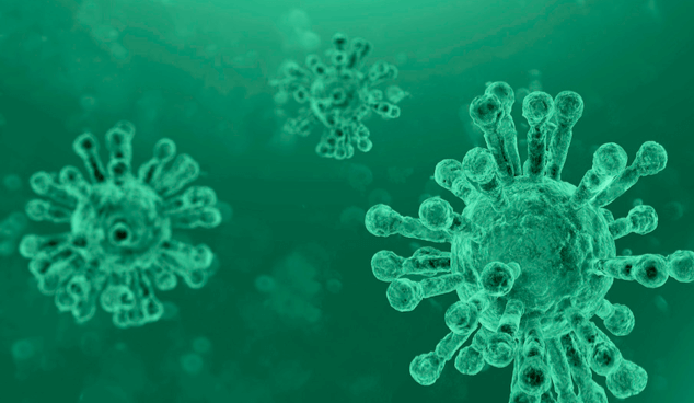 The Raw Materials to Tackle Coronavirus