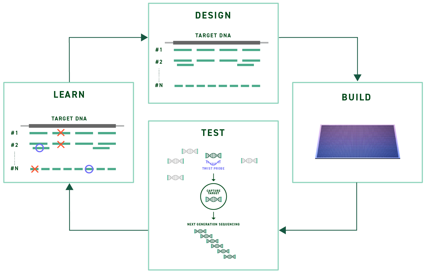 Rapid Customization, Easy Ordering