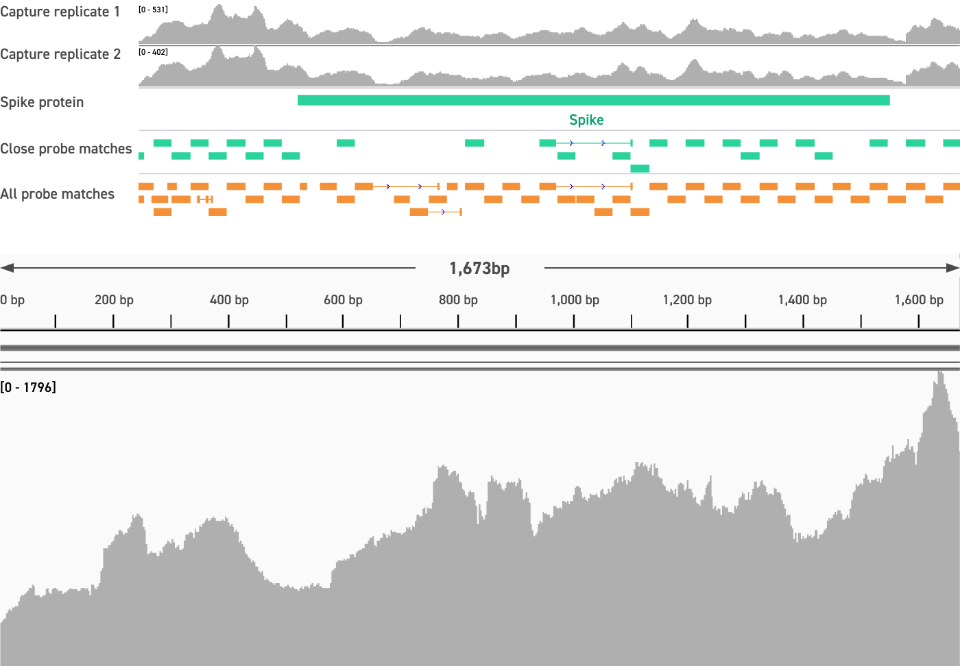 Detect highly divergent viral sequences