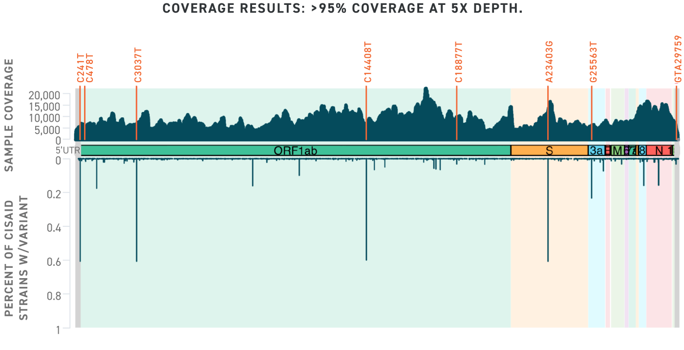 Sequence results mapped across the genome.