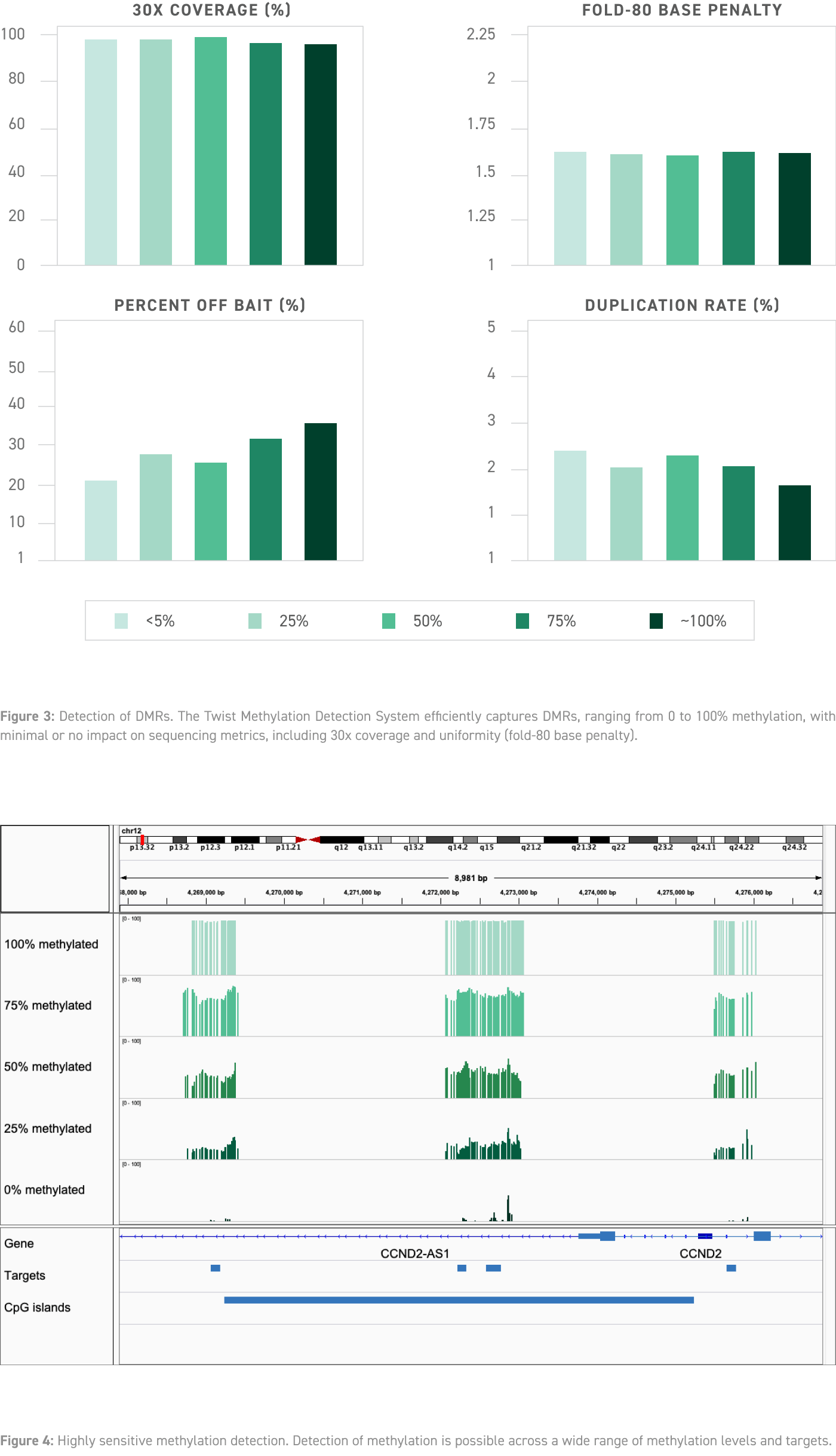 Hochempfindliche Ermittlung von differenziert methylierten Regionen