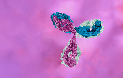 Lesen Sie unser neues E-Book zur Antikörperidentifizierung und entwicklung.