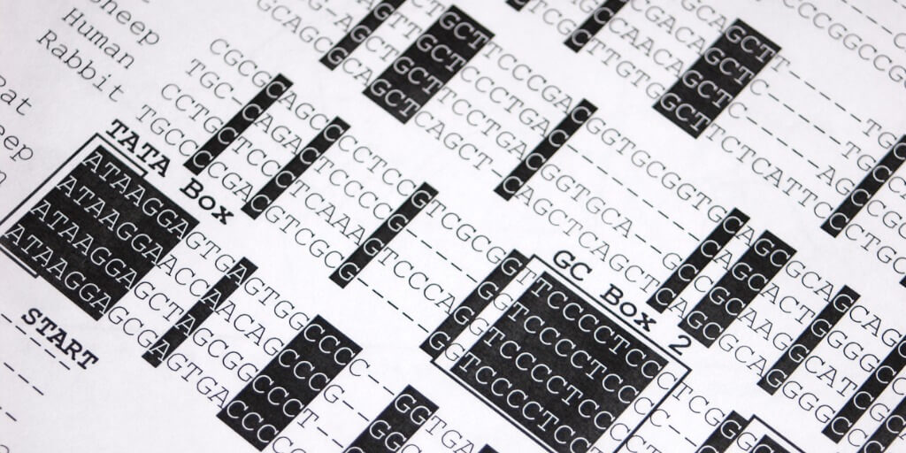 Image of a printed DNA sequence, abstractly representing the article's take home message: High-quality oligonucleotide synthesis allows researchers to overcome the limitations of array-based oligo pools and maximize the utility of Massively Parallel Reporter Assays (MPRAs).