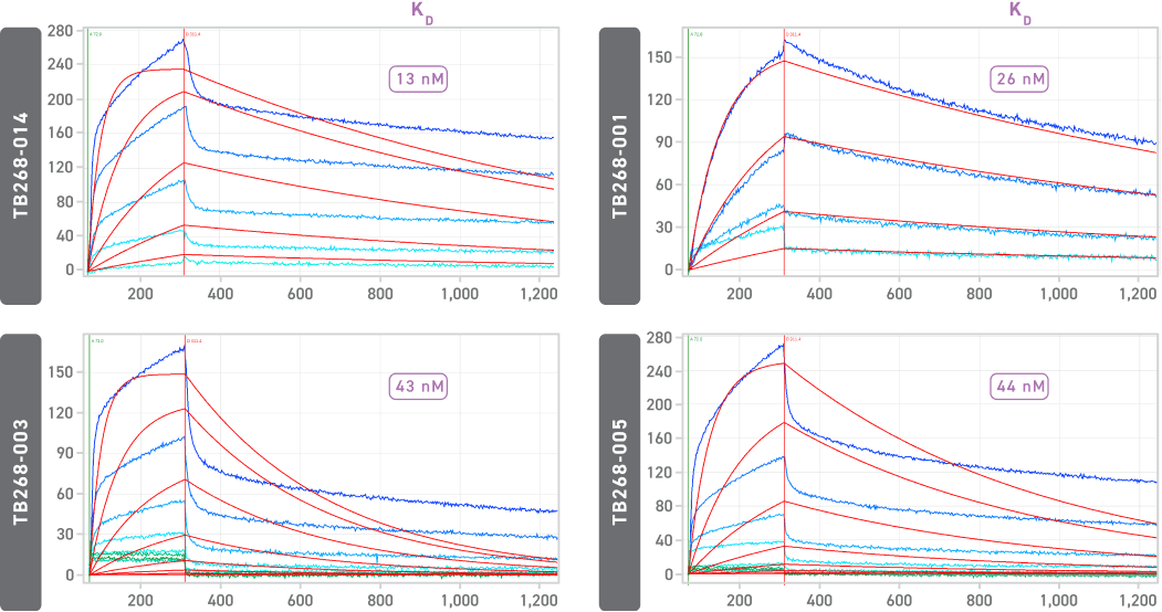 Kinetics with Directly Coupled Anti-S1 Antibodies