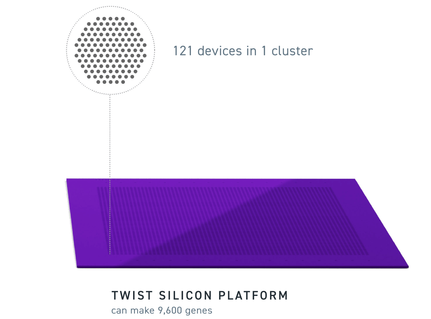 Twist Silizium-Plattform